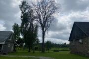 IMG_0610.jpeg