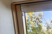 IMG_0196.JPEG