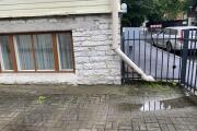 IMG_1071.jpeg