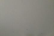 IMG_0077.jpeg