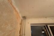 IMG_9120.jpeg