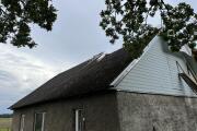 IMG_7163.jpeg