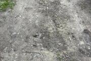 IMG_8853.jpeg