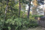 IMG_5757.JPG