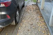IMG_4758.jpeg