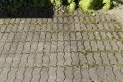 IMG_0057.jpeg
