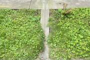 IMG_8484.JPEG