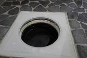 IMG_20260805_114557_828.jpg