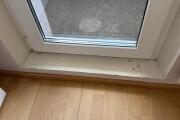 IMG_3886.jpeg