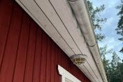 IMG_0250.jpeg