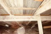 IMG_0605.JPEG