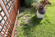 IMG_1591.jpeg