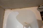 20260805_202403.jpg