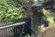 IMG_4385.jpeg