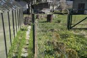 IMG_4324.jpeg