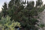 IMG_6142.jpeg