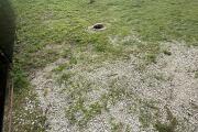 IMG_7013.jpeg