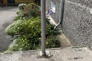 IMG_7238.jpeg