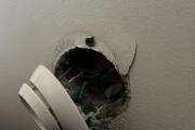 IMG_7829.jpeg