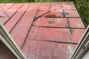 IMG_9540.jpeg