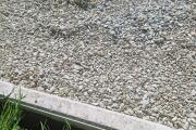 20260524_121958.jpg