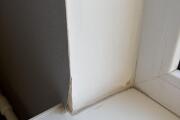 IMG_2156.jpeg