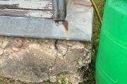 IMG_2908.jpeg