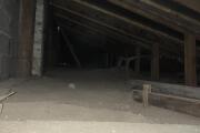 IMG_1606.jpeg