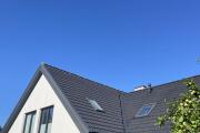 IMG_8619.jpeg