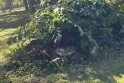 IMG_1692.jpeg