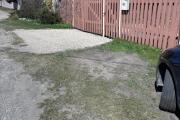 IMG_2034.jpeg