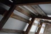 IMG_20260629_143733.jpg