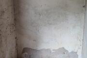 IMG_20260721_193913.jpg
