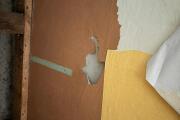 IMG_7995.jpeg