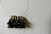 IMG_6529.jpeg