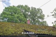 IMG_6593.jpeg