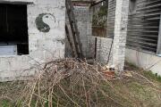 IMG_5274 copy.jpg