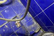 IMG_5390.jpeg