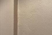 IMG_7537.jpeg