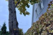 IMG_2793.jpeg