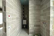 IMG_2778.jpeg
