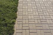 IMG_4938.jpeg