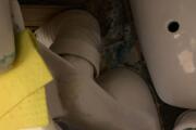 e037e8e1-dbe5-4510-8b73-13a535d51ba1.jpg