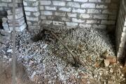 IMG_3888.jpeg