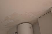 20260821_170401.jpg