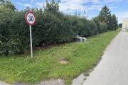 IMG_2096.jpeg
