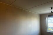 IMG_8813.jpeg