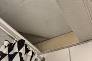 IMG_6792.jpeg