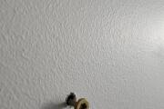 20260618_135453.jpg