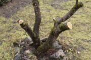 IMG_7501 2.jpeg